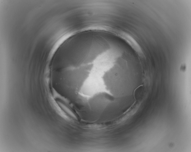 X0000095110804200712071216