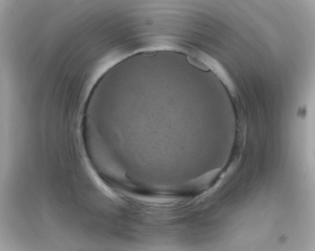 X0000095110805200712071216