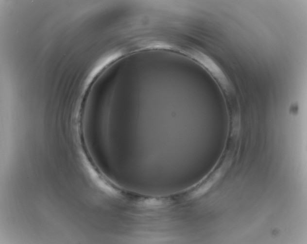 X0000095110806200712071216