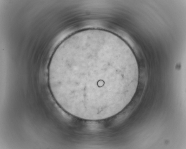 X0000095110807200712071216