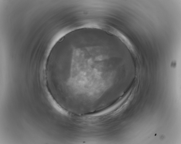 X0000095110808200712071216