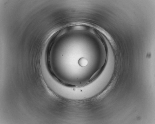 X0000095110809200712071216