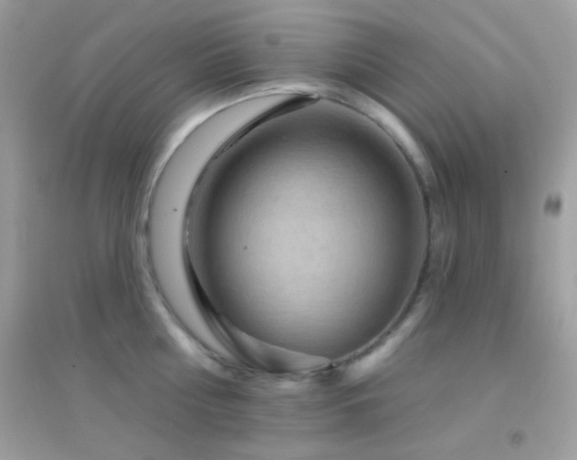 X0000095110810200712071216