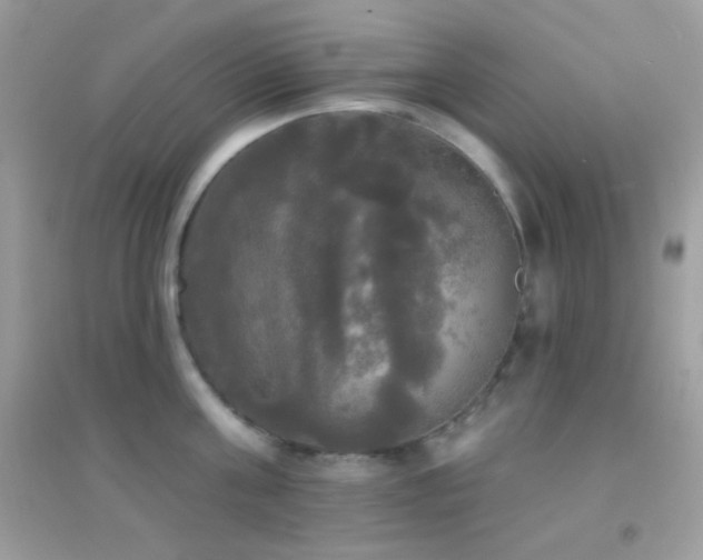 X0000095110811200712071215