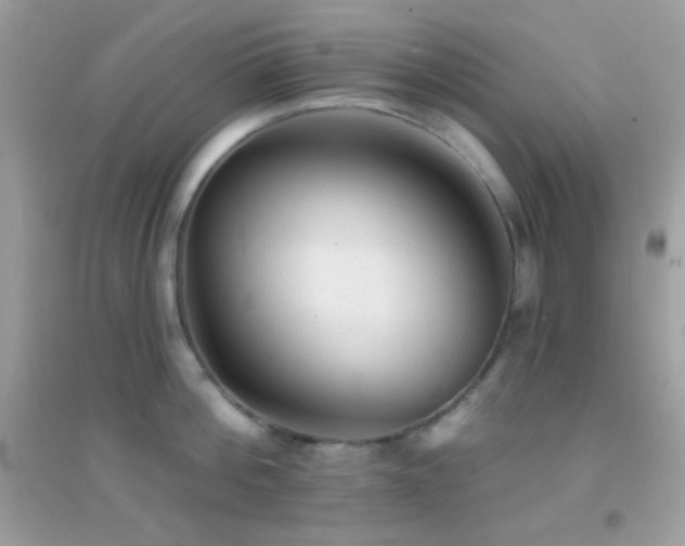 X0000095110812200712071215