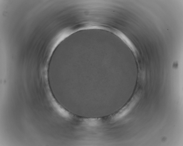 X0000095110813200712071215