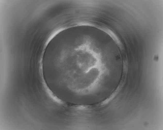 X0000095110814200712071215