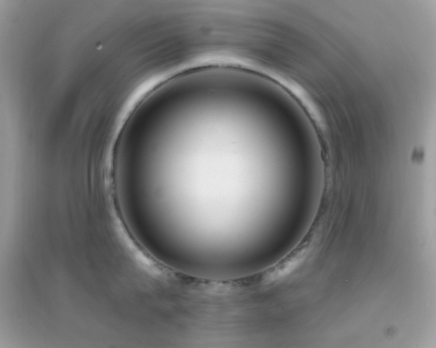 X0000095110815200712071215