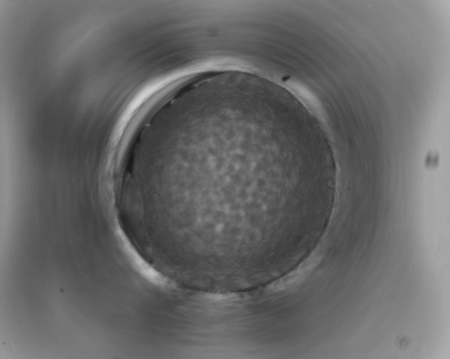 X0000095110816200712071215