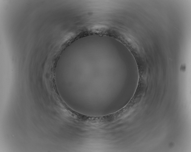 X0000095110817200712071215