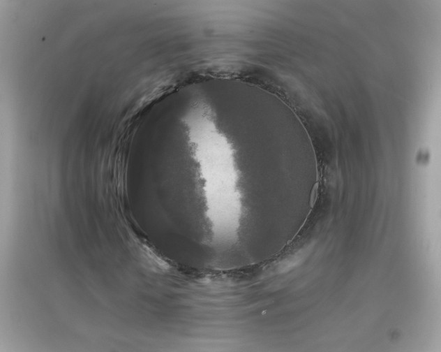 X0000095110818200712071215