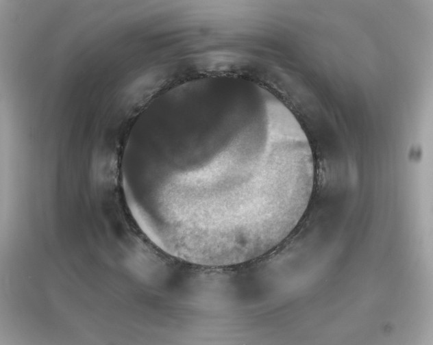 X0000095110820200712071215