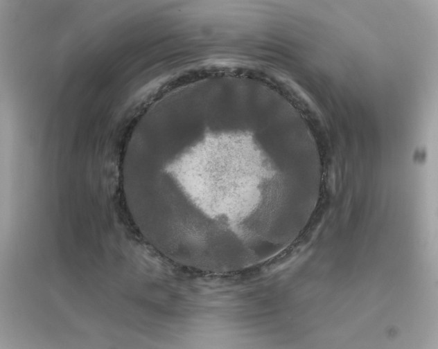 X0000095110821200712071215