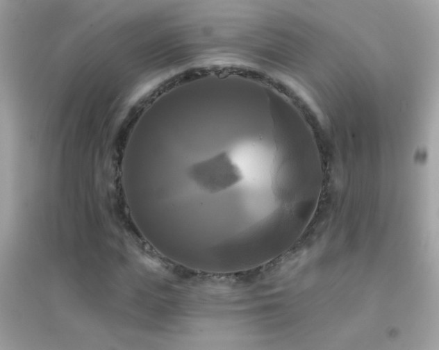 X0000095110823200712071215