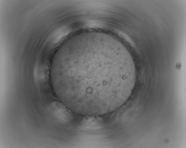 X0000095110824200712071215