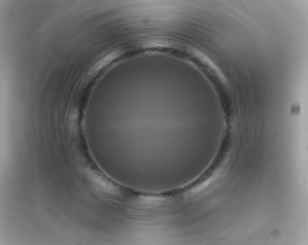 X0000095110825200712071215