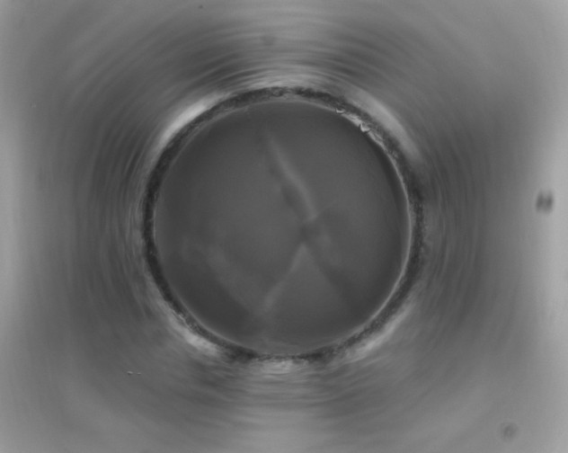 X0000095110826200712071215