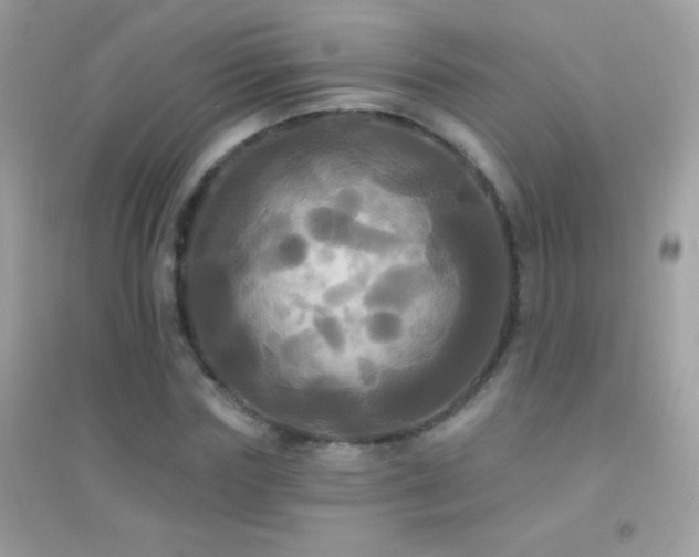 X0000095110827200712071215