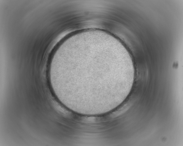 X0000095110828200712071215