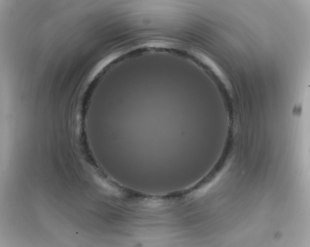 X0000095110829200712071215