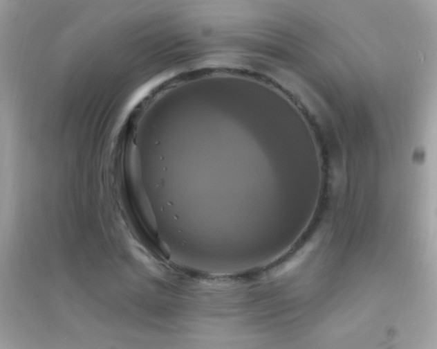 X0000095110830200712071215