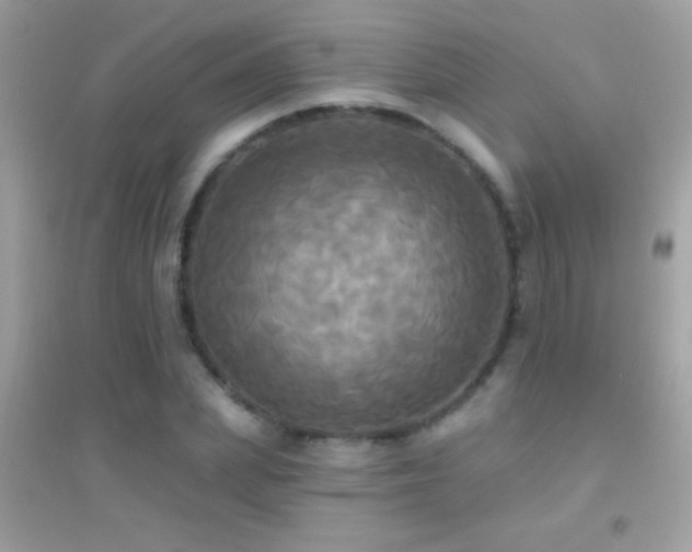 X0000095110831200712071215