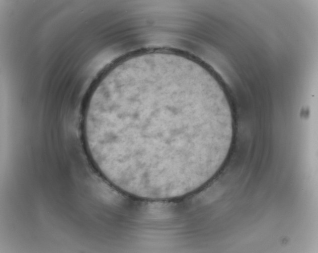 X0000095110832200712071215