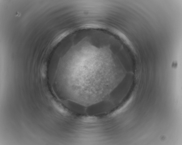 X0000095110833200712071215