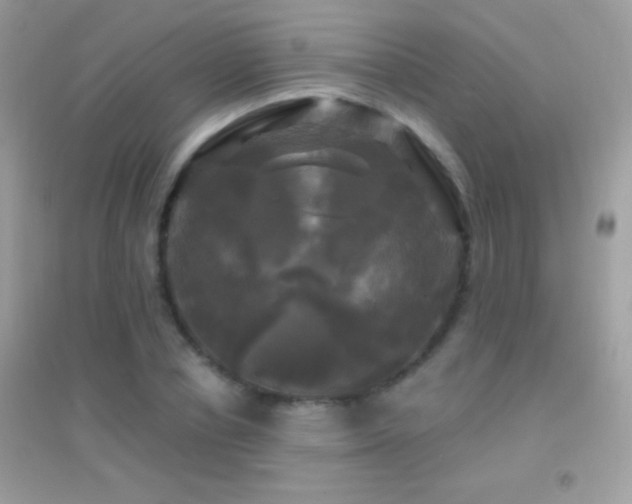 X0000095110834200712071215