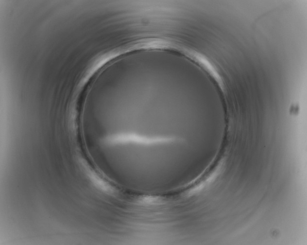 X0000095110835200712071215