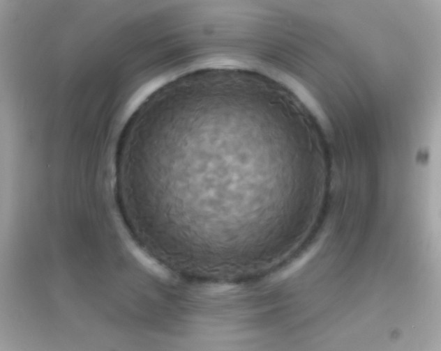 X0000095110837200712071215