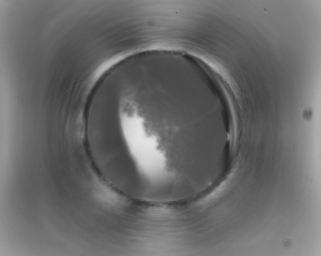 X0000095110838200712071215