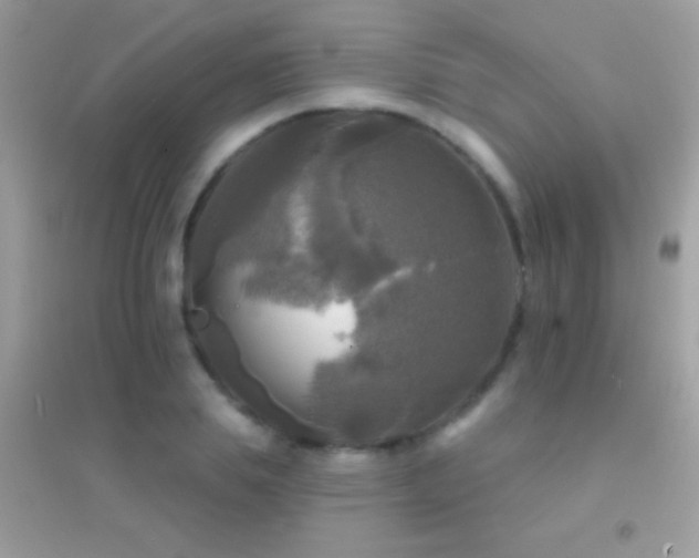 X0000095110839200712071215