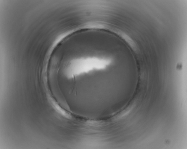 X0000095110840200712071215