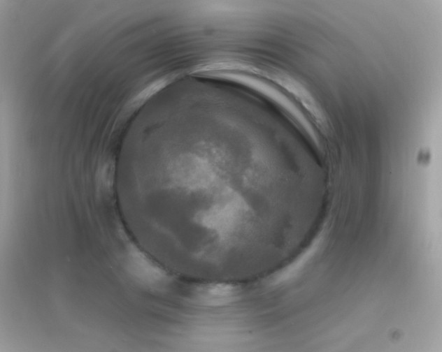 X0000095110841200712071215