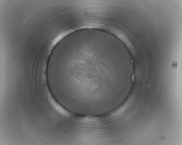 X0000095110842200712071215