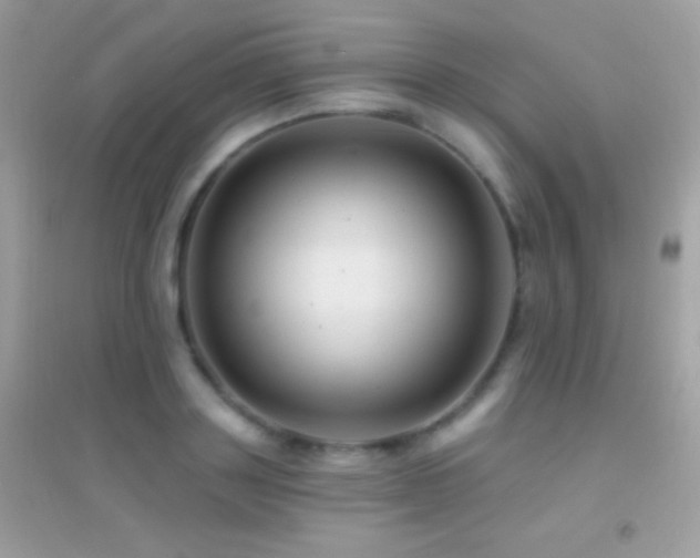 X0000095110843200712071215