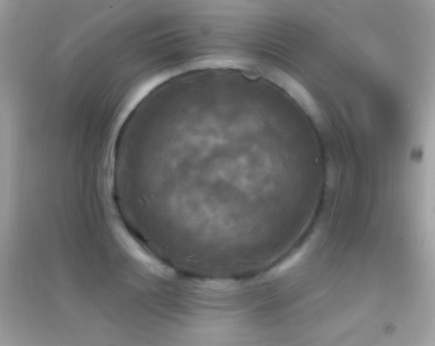 X0000095110844200712071215