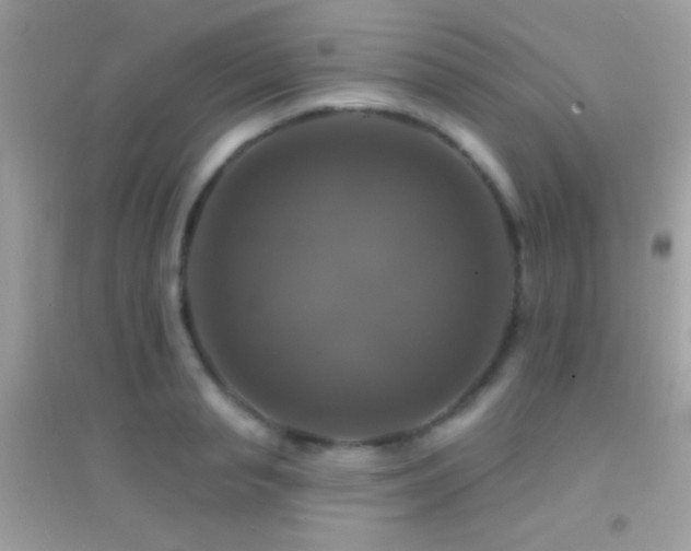 X0000095110845200712071215