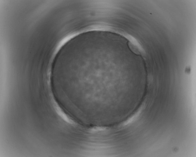 X0000095110846200712071215