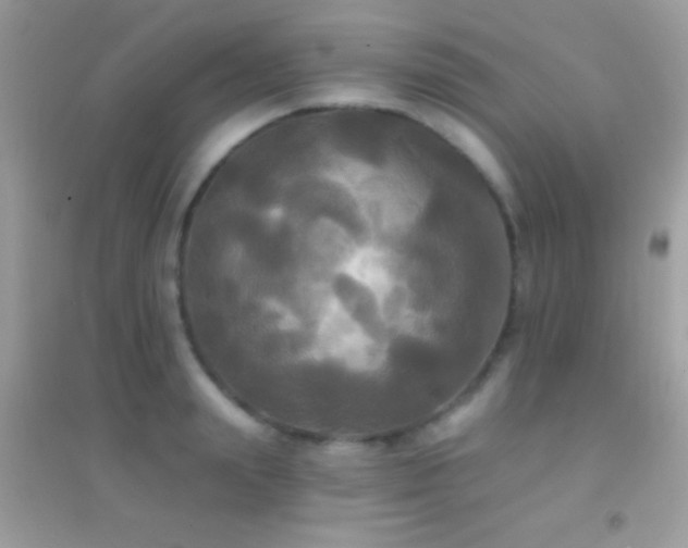 X0000095110847200712071215