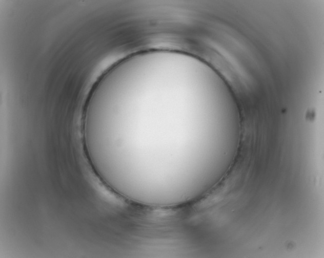 X0000095110848200712071215