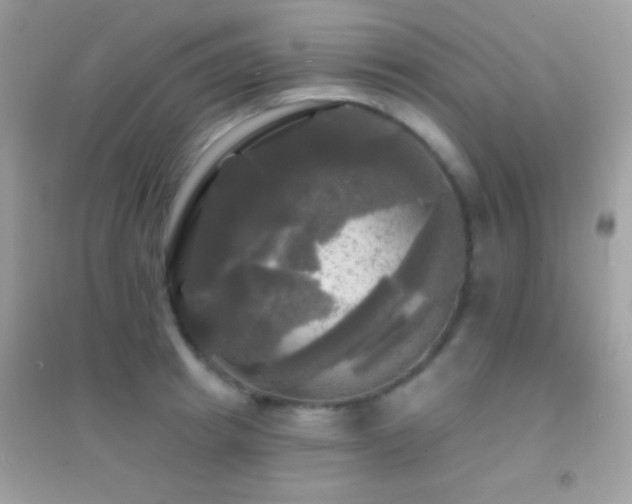 X0000095110849200712071215