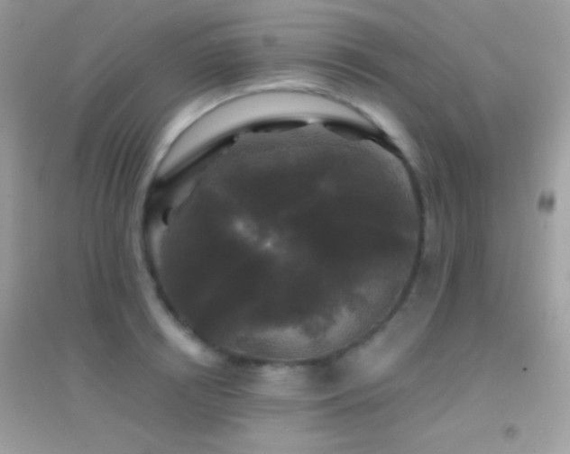 X0000095110850200712071215