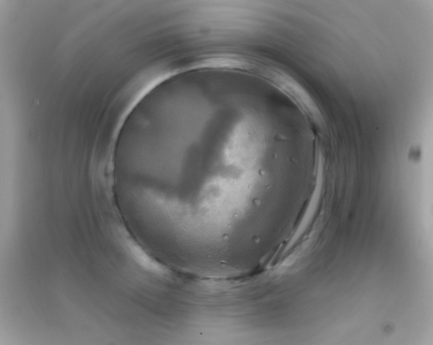 X0000095110852200712071215