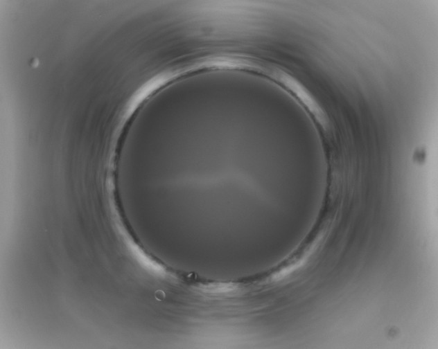 X0000095110853200712071215