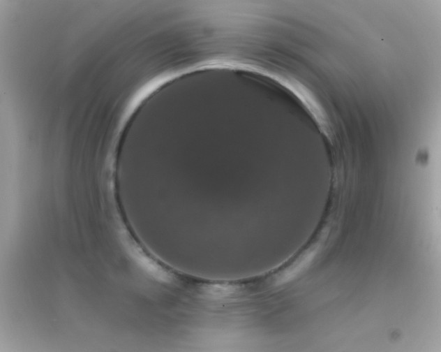 X0000095110854200712071215