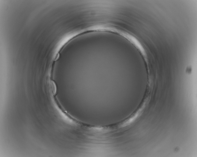 X0000095110855200712071215