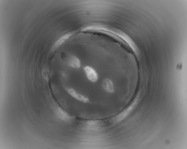 X0000095110857200712071215