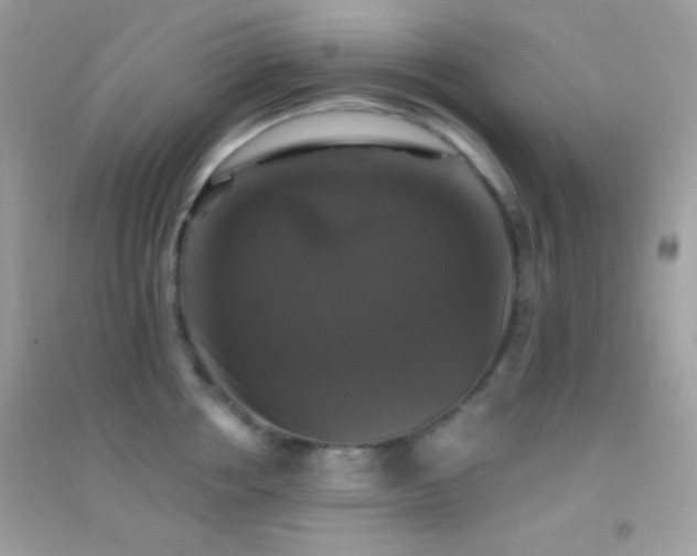 X0000095110858200712071215